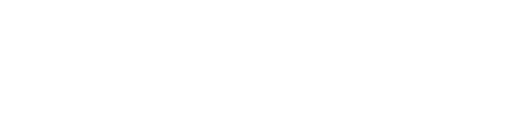 Kiwi Nails Fasteners